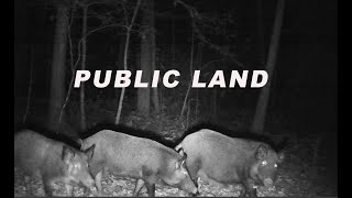 You Thought South Georgia Had A Hog Problem? Welcome To North Georgia. Self Filmed PUBLIC LAND Hunt