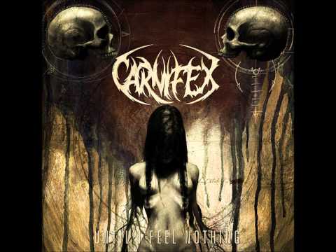 Dehumanize
