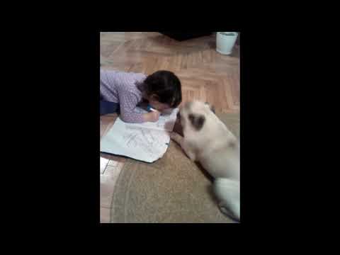 Igra Anastasije i Maze