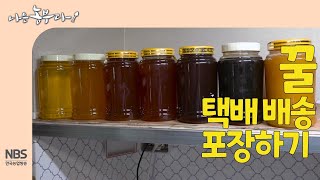 [나는농부다 247회] 꿀 택배 배송 포장하기