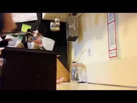 Peugeot Nostalgie coffee grinding.