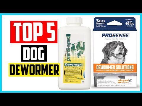 ✅Top 5 Best Dog Dewormer Reviews in 2022