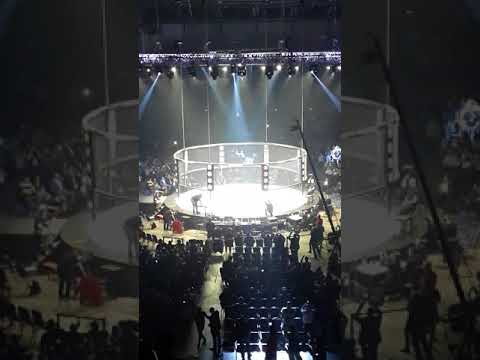 Bellator 196 - The Cage