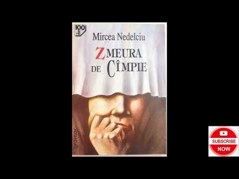 Zmeura de Câmpie de Mircea Nedelciu, Argmunetare