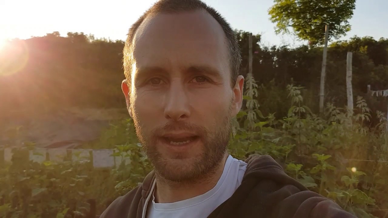 Testosteron, Piperin, Chrysin - YouTube