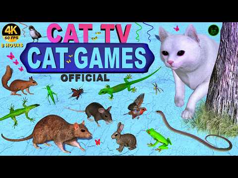 CAT GAMES 🐾 ON SCREEN HUNTING GAME FOR CATS - CAT TV ENTERTAINMENT VIDEO 4K 8 HOURS