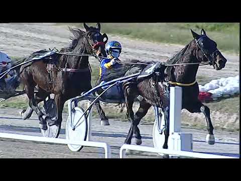 Napoli Trotto 23/12/2022 - 3ª corsa