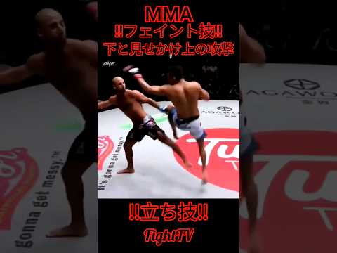 ＃FightTV　＃MMA 　＃テコンドー　＃キックボクシング　＃フェイント　