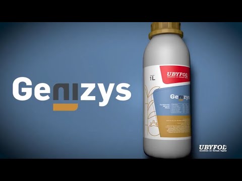 GENIZYS - Produtividade do início ao fim