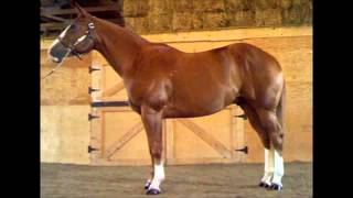 Vicente fernandez EL 7 LEGUAS