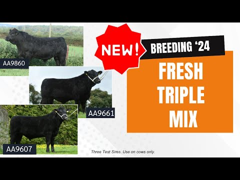 New Triple Mix Fresh Offer - Exclusive to Munster Bovine #breeding24
