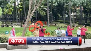 Eksplor Tebet Ecopark: Ruang Hijau Favorit Warga Jakarta - INTIPS
