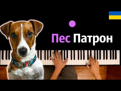 🇺🇦 KARTA SVITU — Пес Патрон ● караоке | PIANO_KARAOKE ● ᴴᴰ + НОТЫ & MIDI