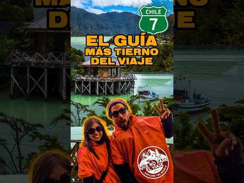 Nos encontramos con una vaquita en Cochrane 🐮💛 | Camino a Caleta Tortel | #QueNoPareelViaje #Shorts