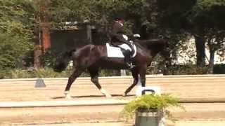 preview picture of video 'Flintridge Dressage Show Level 1Test 3 - 25 May 14'