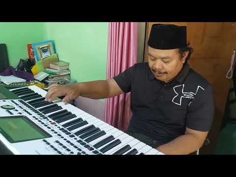 Kupu kupu-KORG P A 700-MJD-musik