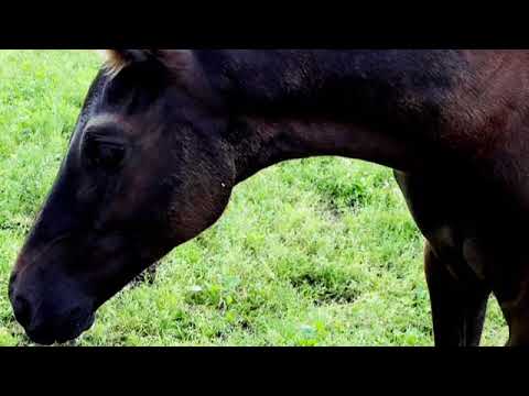 Millennium x Rotspon 05/07