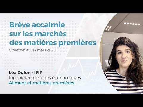 Matières Premières de l'aliment porc : brève accalmie des marchés (au 03/03/25)
