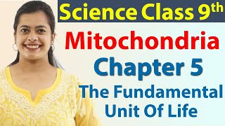 Mitochondria - Plastids - Chapter 5 - The Fundamental Unit Of Life - Science Class 9