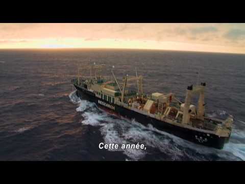 Le Dernier Pirate - Bande annonce