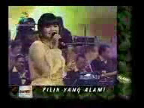 Lita & F2F KDI4 Bunga Dahlia