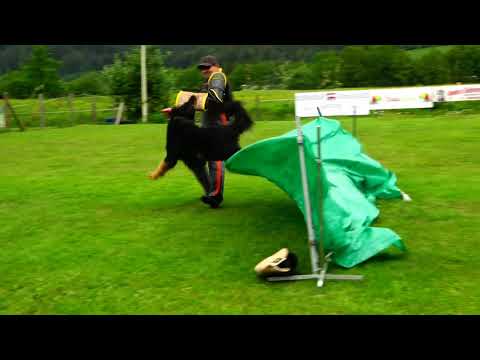 Denzel Schutzdienst Detailtraining