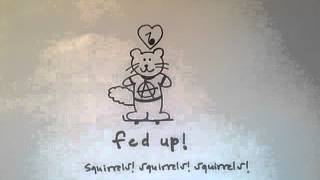 fed up! - squirrels! squirrels! squirrels!