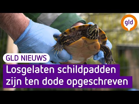 GLD Nieuws 17 mei 2022