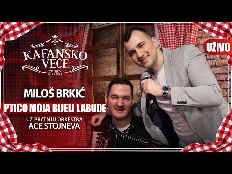 MILOS BRKIC - PTICO MOJA BIJELI LABUDE | UZIVO | (ORK. ACE STOJNEVA) | 2023 | KAFANSKO VECE