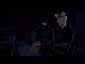 Batman reveals his identity to catwoman (Bruce Wayne)