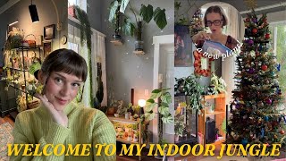we are thriving 🌿🧚‍♂️✨ november houseplant walk through