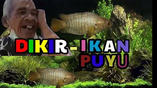 Download lagu Dikir Barat Nyanyian Otai Paling Merdu - Lagu Ikan Puyu mp3