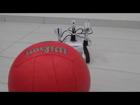 DJ's Roli Rover Robot Chasing Red Ball
