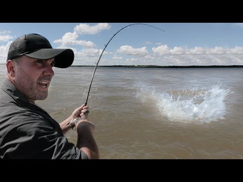 Je Pêche le "TORO DEL RÍO" en Argentine ! - Cyril Chauquet