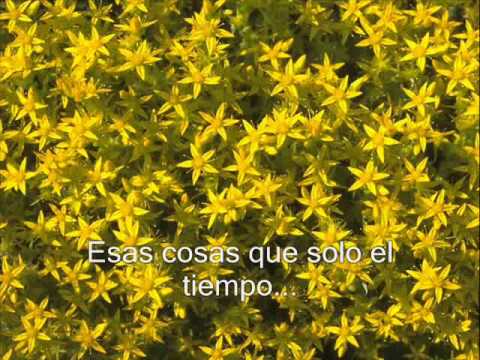 Costumbres video