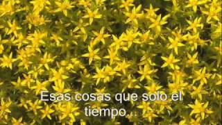 Costumbres - Roberto Carlos ( subtitulada )