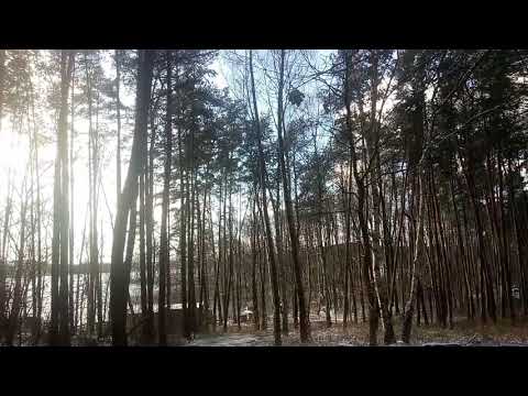 Mierzyn | Poland | 02.2018