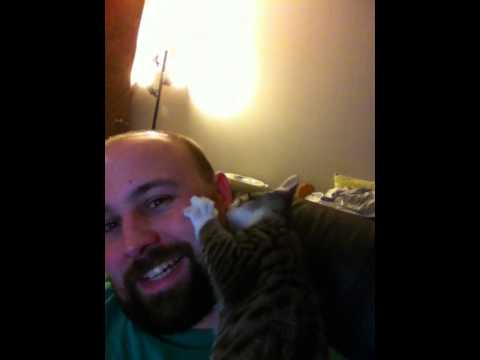 Cat mistakes earlobe for teat