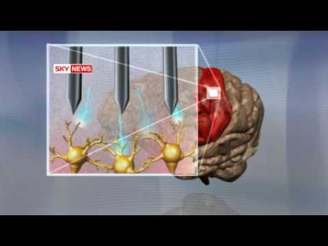 Monkey Moves Robot Using Mind Control
