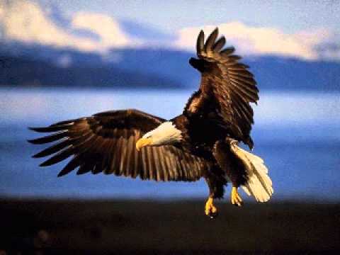 TON AMOUR, TA PUISSANCE