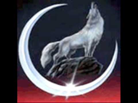 Rap siddet biz türküz