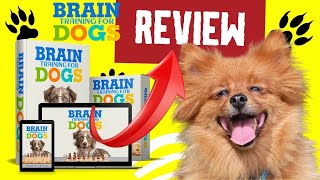 ?BEWARE?BRAIN TRAINING FOR DOGS? Adrienne Farricelli REVIEWS Official Website #doglove #dogs #dog
