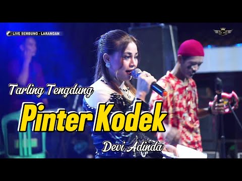 PINTER KODEK ~ TENGDUNG // CITRA NADA LIVE DESA SEMBUNG // KEC.LARANGAN - BREBES (28 APRIL 2024)
