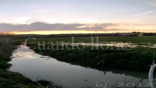 Diego Torres - No me olvides