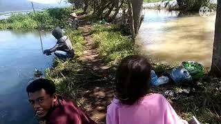 Download lagu rawapening info spot mancing nanggul kali candi mp3