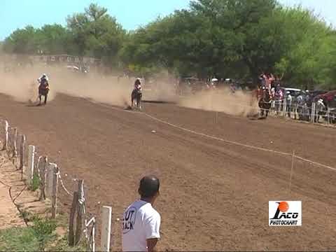 5 Y 2 PANGARE 29 10 17