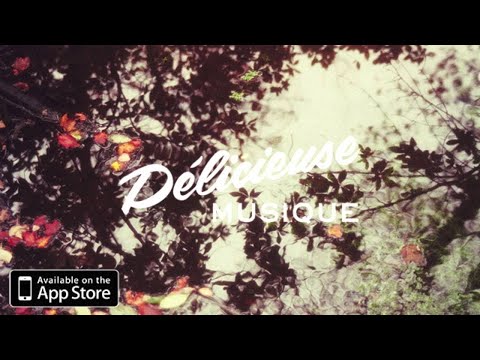 Monitor 66 - Follow You