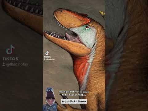 Big Al, the Most Famous Allosaurus