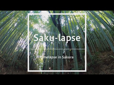 Saku-lapse　～ひよどり坂・侍の杜～