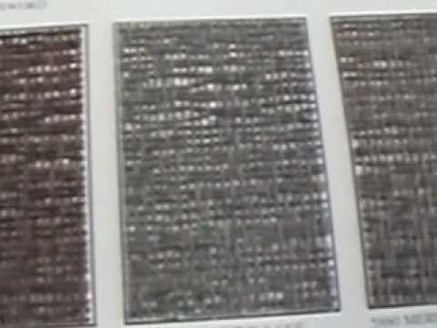 Tailored Walls by Phillip Jeffries